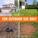 terro-ant-killer-plus-multi-purpose-inse-5.jpg
