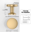 10-pack-champagne-bronze-kitchen-cabinet-3.jpg