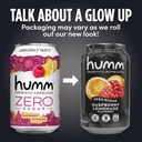 humm-probiotic-kombucha-zero-sugar-varie-5.jpg