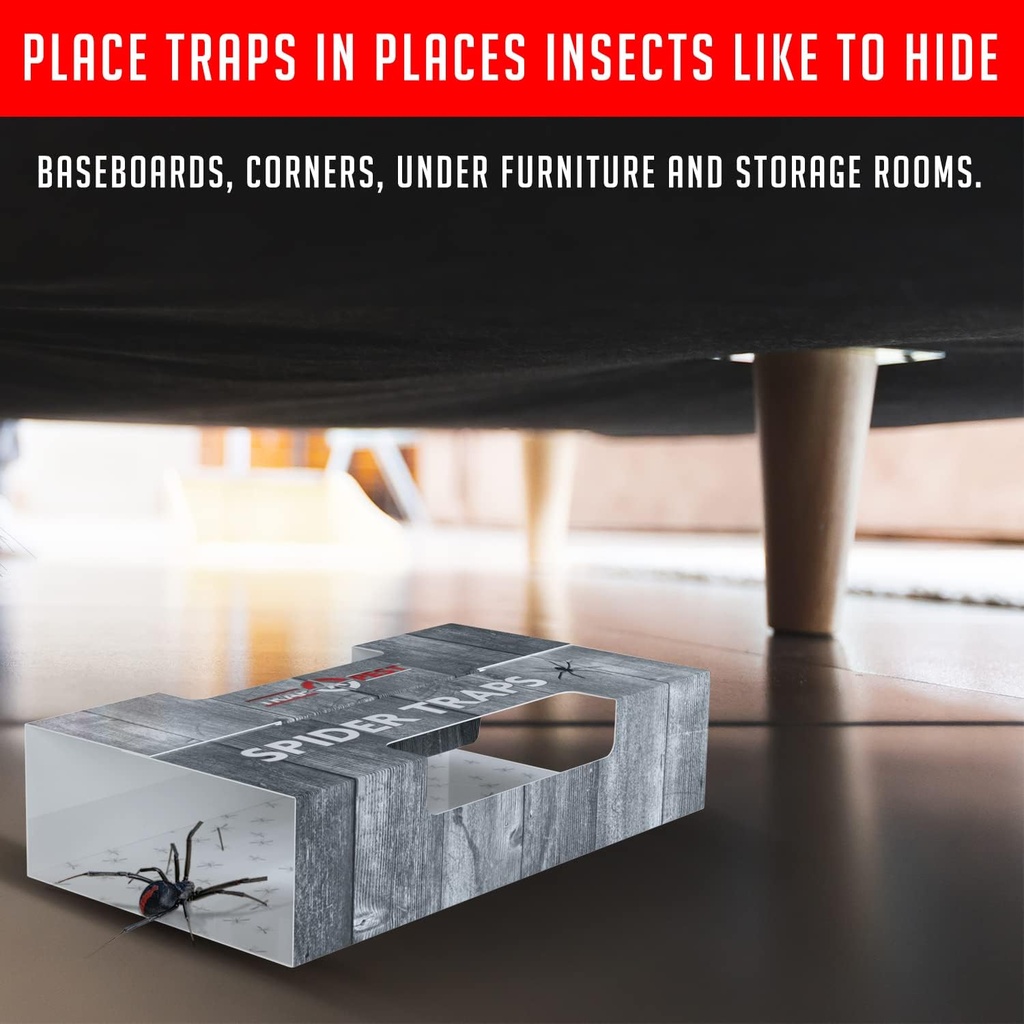 spider-traps-for-inside-your-home-16-tra-5.jpg