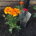 radius-garden-15202-dig-multi-purpose-to-4.jpg