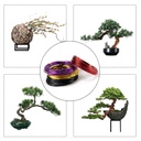 4-roll-anodized-aluminum-bonsai-training-5.jpg