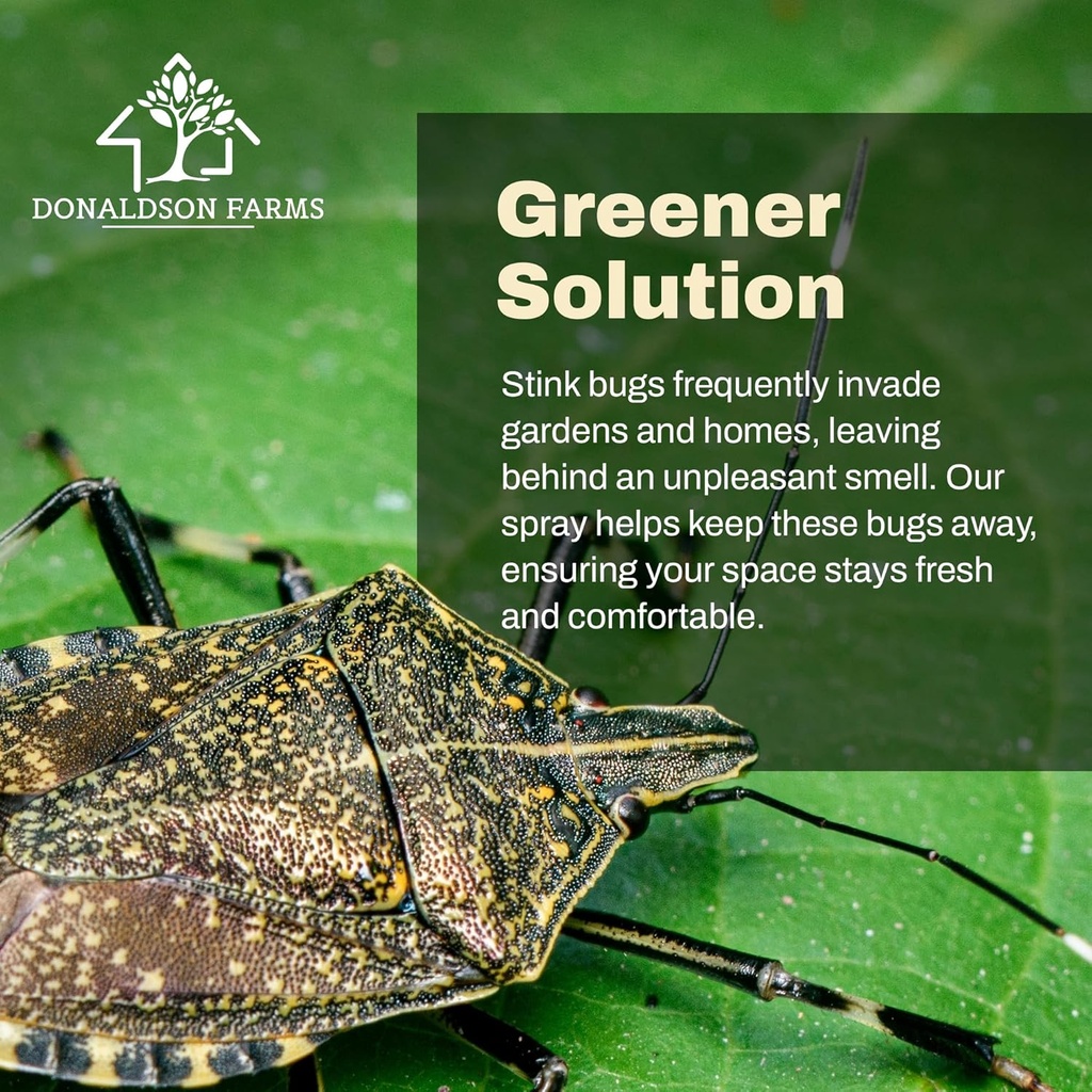 stink-bug-spray---naturally-eliminate-st-5.jpg