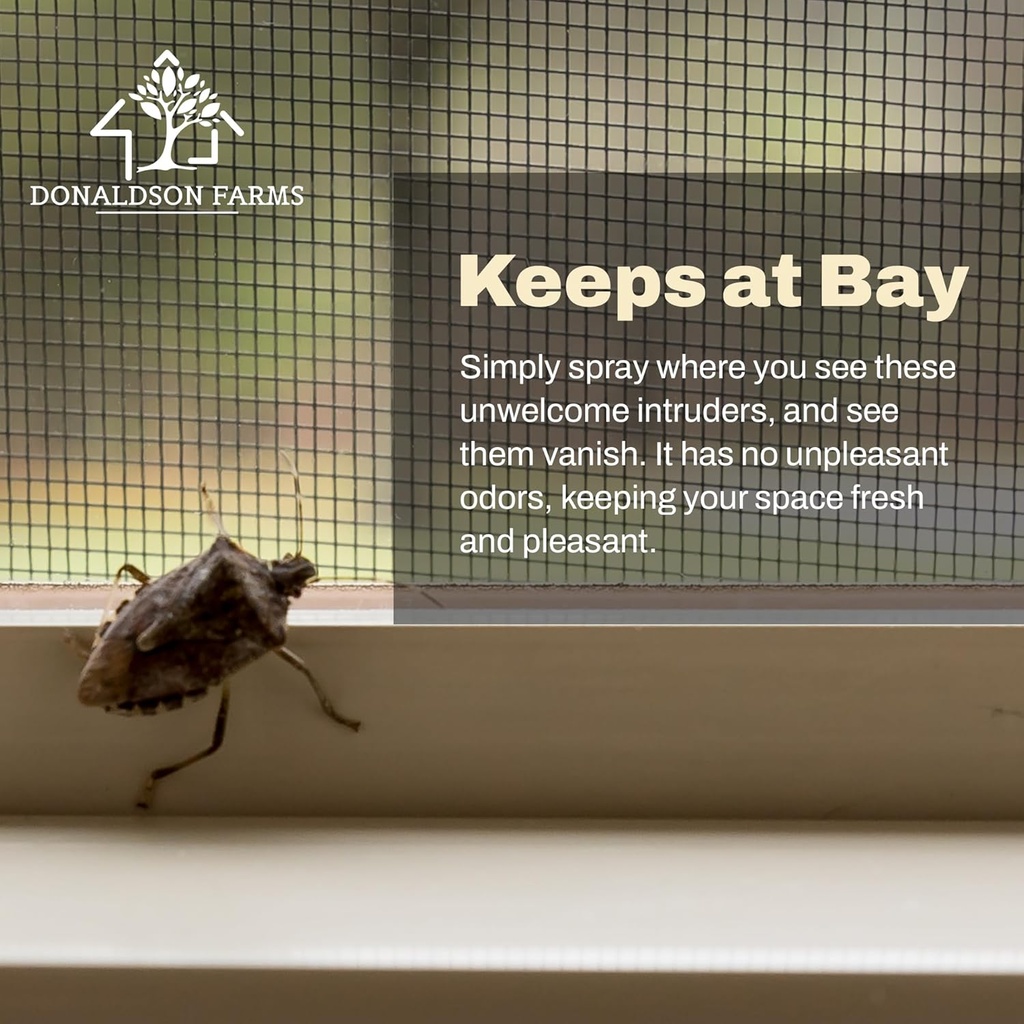 stink-bug-spray---naturally-eliminate-st-6.jpg