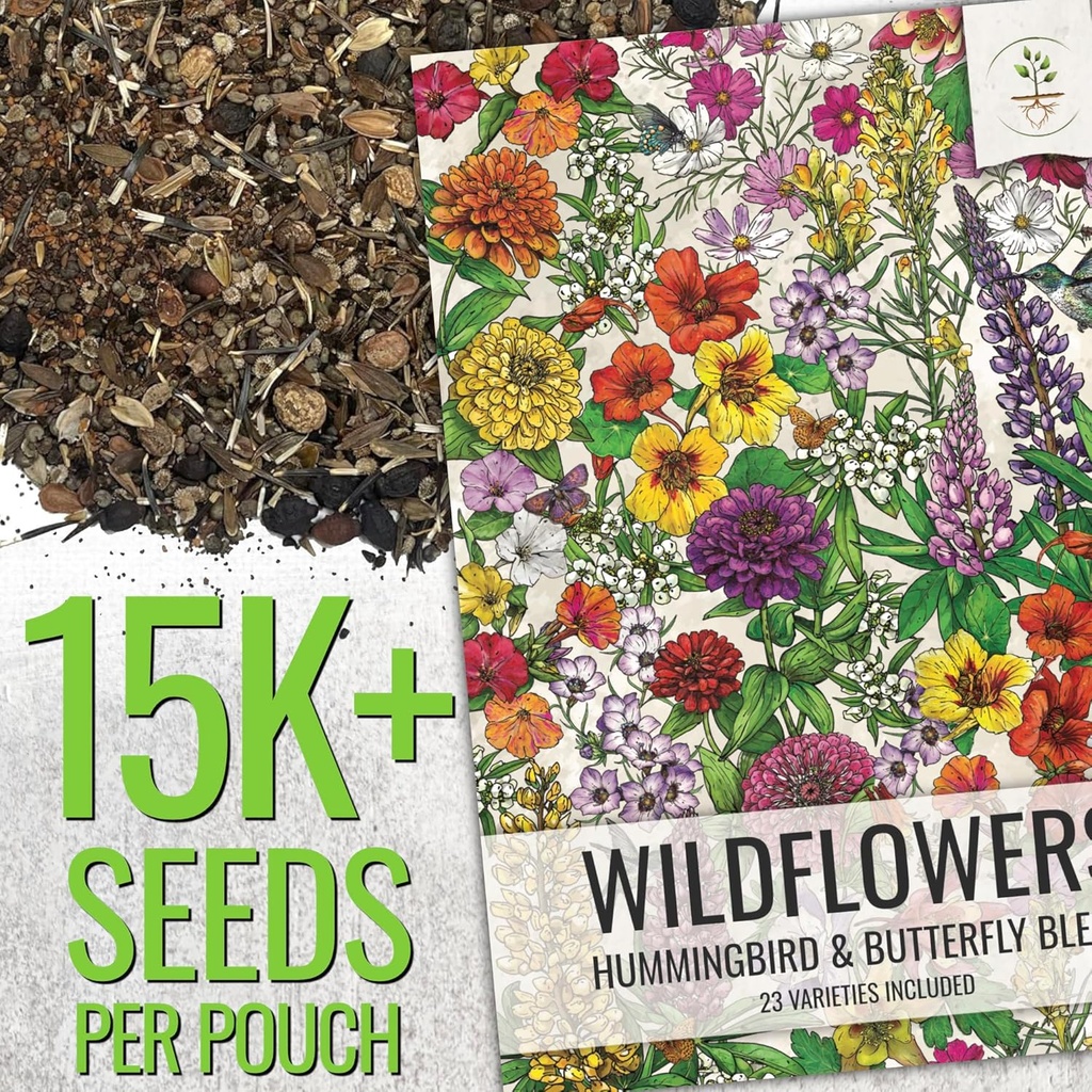 seed-needs-flower-seeds-hummingbird-and--2.jpg