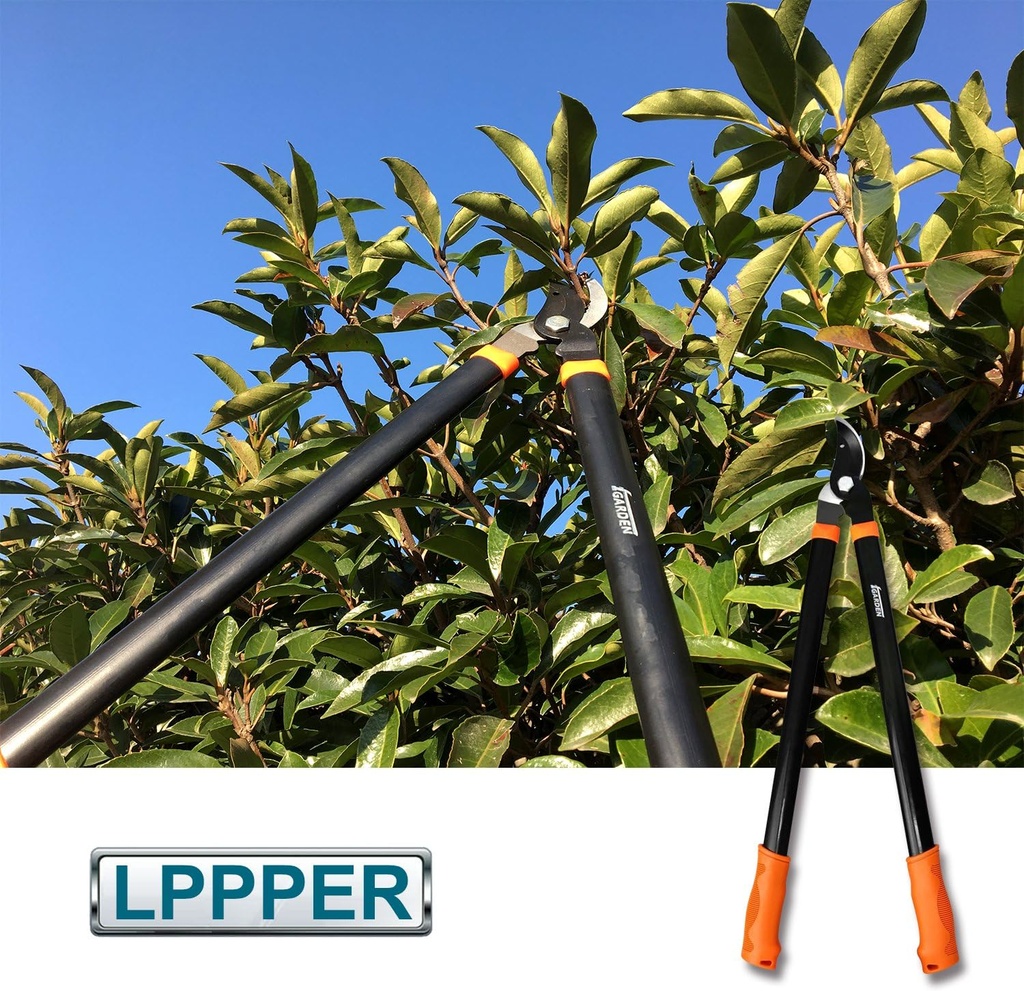 coarbor-3-piece-garden-tools-hedge-shear-3.jpg