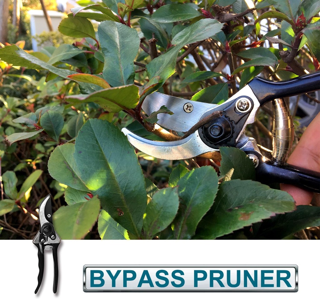 coarbor-3-piece-garden-tools-hedge-shear-5.jpg