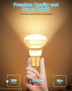 lava-lamp-bulb-r39-e17-reflector-type-bu-3.jpg