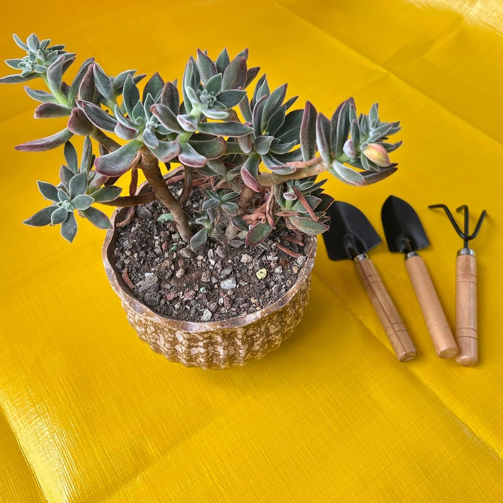 mini-gardening-tools-set-for-kids-3-piec-3.jpg