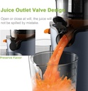 juice-squeeze-machinesautomatic-slow-jui-3.jpg