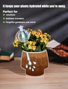 nihome-large-plant-watering-globes-2-pac-5.jpg