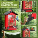 squirrel-proof-bird-feeder-for-outdoors--2.jpg