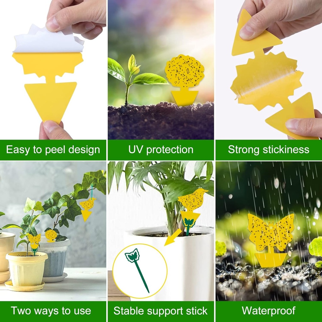 54-pack-fruit-fly-trap-for-indoor-gnat-t-4.jpg