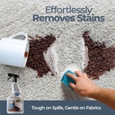 forcefield-fabric-cleaner-professional-s-5.jpg