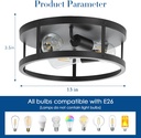 black-flush-mount-ceiling-light-fixtures-3.jpg