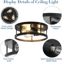black-flush-mount-ceiling-light-fixtures-4.jpg