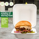 green-earth-6-inch-100-count-compostable-2.jpg