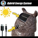 solar-owl-guard-with-motion-detector-fla-5.jpg