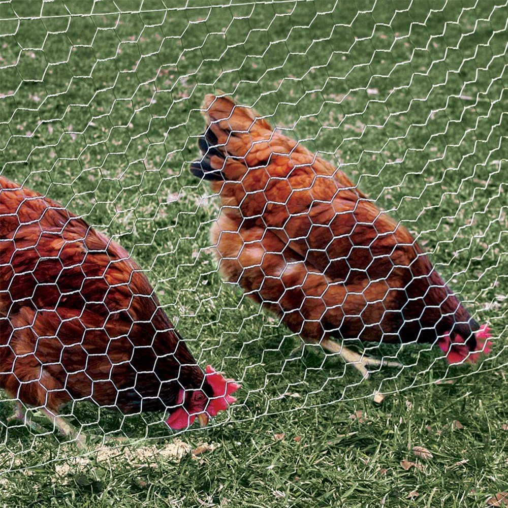 yardgard-chicken-wire-2-inch-mesh-24-inc-3.jpg