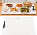 Electric Food Warmer with 60.8x37.8 cm Extra Large Heating Area, Warming Tray Made of Silicone Material, Food Warmers for Parties with Control for buffets