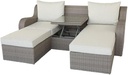 Acme Salena 3 Piece Wicker Patio Loveseat in Beige and Gray